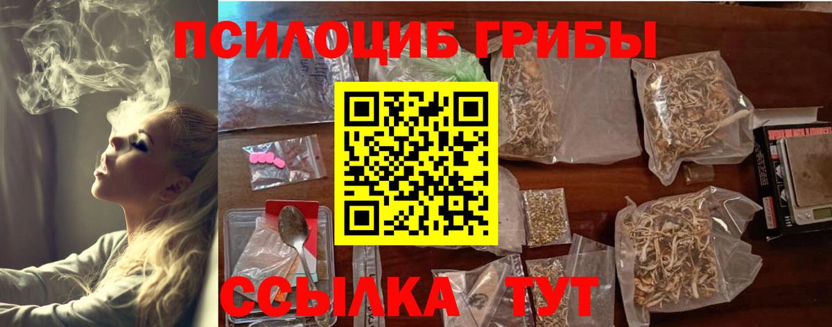 Рязань  Галлюциногенные грибы Psilocybe  Псилоцибиновые грибы прущие грибы  Вход с VPN 